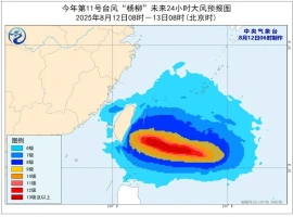 台风“杨柳”预计将于次日登陆沿海地带  预计强降雨可能引发连锁灾害-而安资源分享网