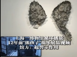 两名男孩损坏展品且视频循环播放了12年的情况-而安资源分享网